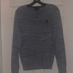 Express men v neck sweater